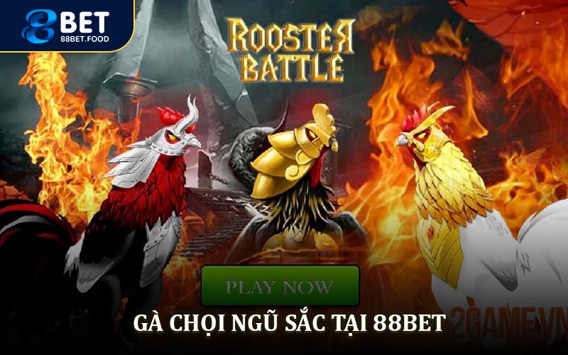 Gà Chọi Ngũ Sắc - Trải Nghiệm Đá Gà Trực Tuyến Tại 88BET