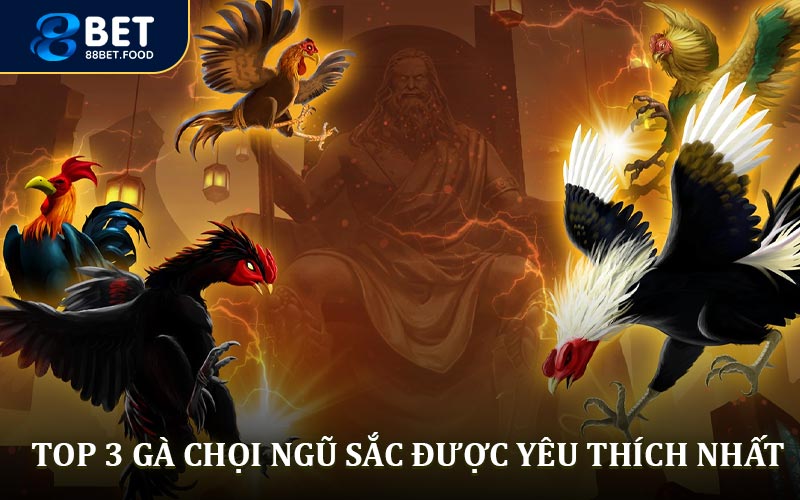 Top 3 Giống gà ngũ sắc được yêu thích nhất